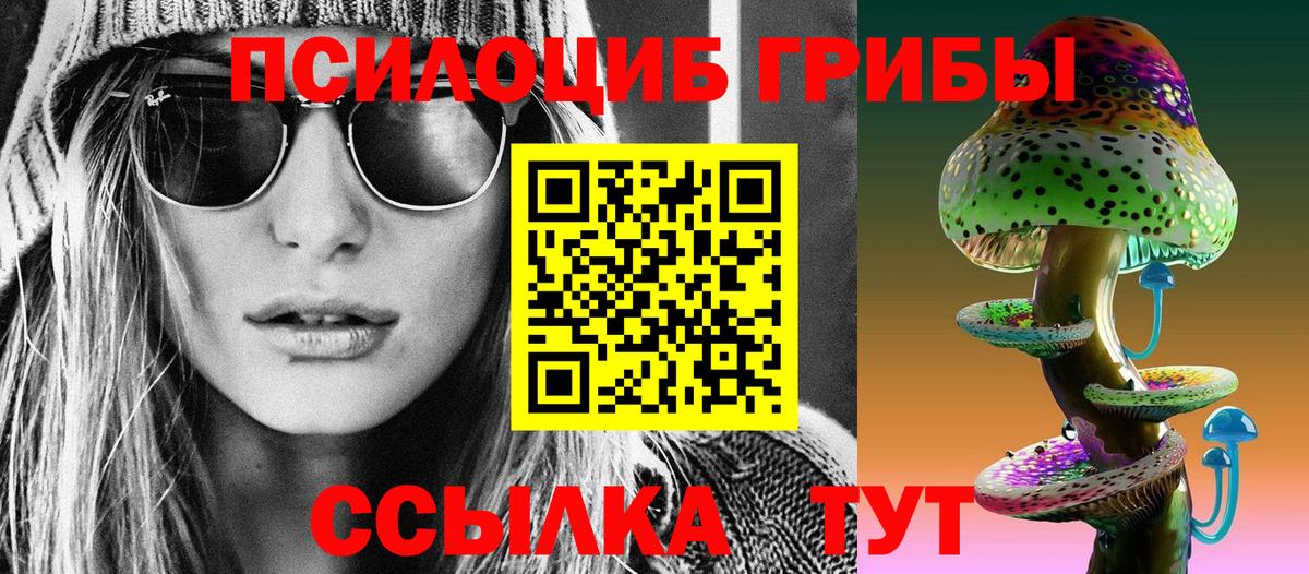 Киселёвск  Псилоцибиновые грибы Magic Shrooms  как найти   Вход с VPN 