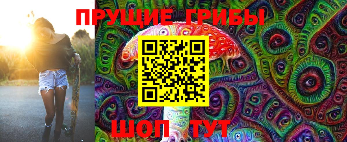 Галлюциногенные грибы Psilocybine cubensis Киселёвск